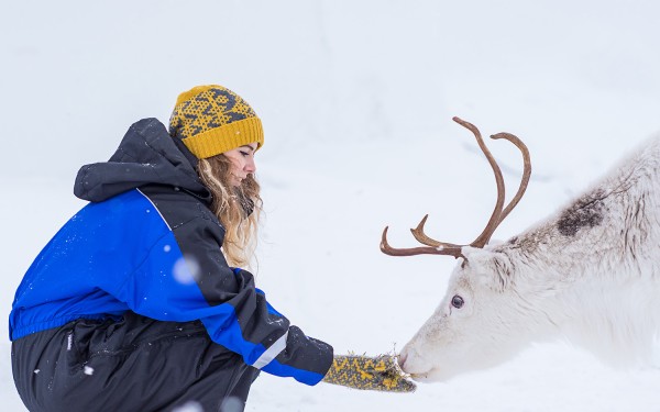 Rein og turist. Foto: &Oslash;rjan Bertelsen / nordnorge.com